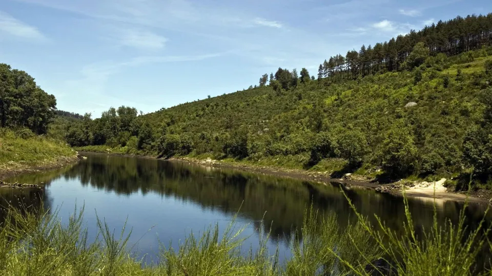 Quercus tem projeto de recuperação e proteção de mexilhão de água doce