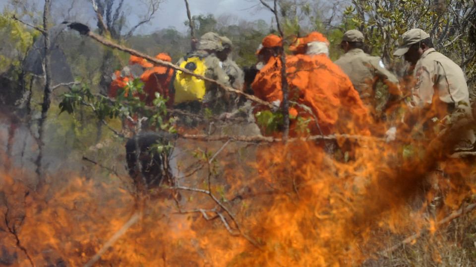 Incêndios florestais no Brasil  destroem 10.298 km quadrados em janeiro