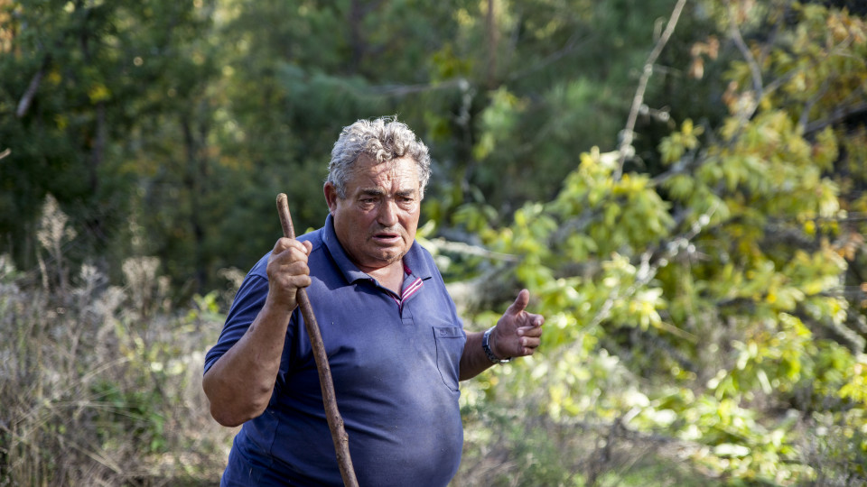 Agricultor limpa o próprio terreno e é multado