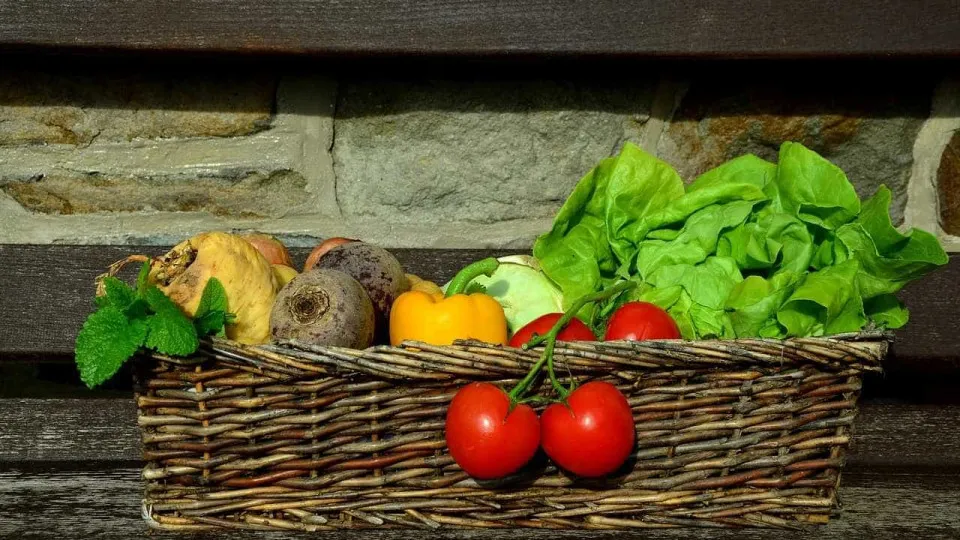 Cinco razões para excluir carne da sua alimentação