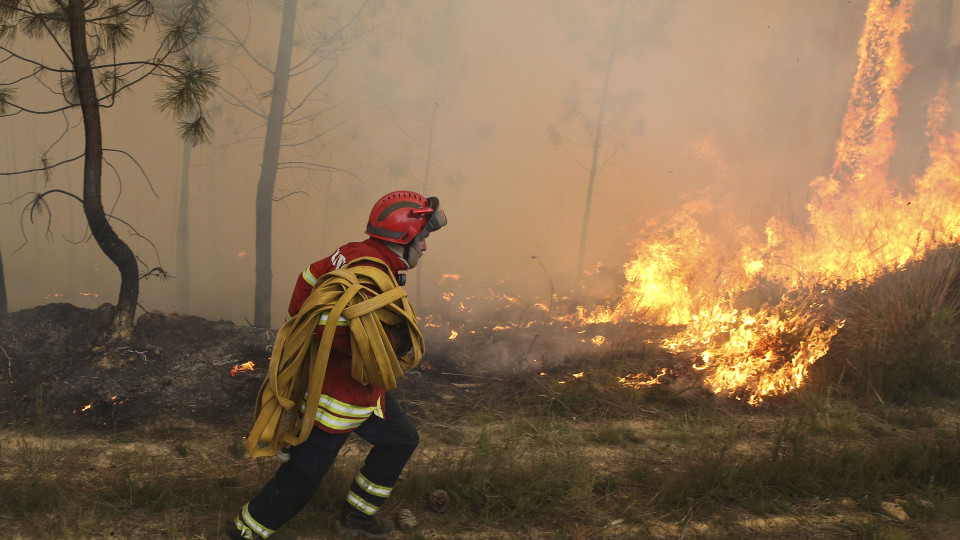 Fogo no Parque Natural do Douro Internacional ativo há mais de 15 horas