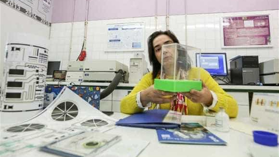Transístor de papel reciclável leva portugueses a prémio europeu