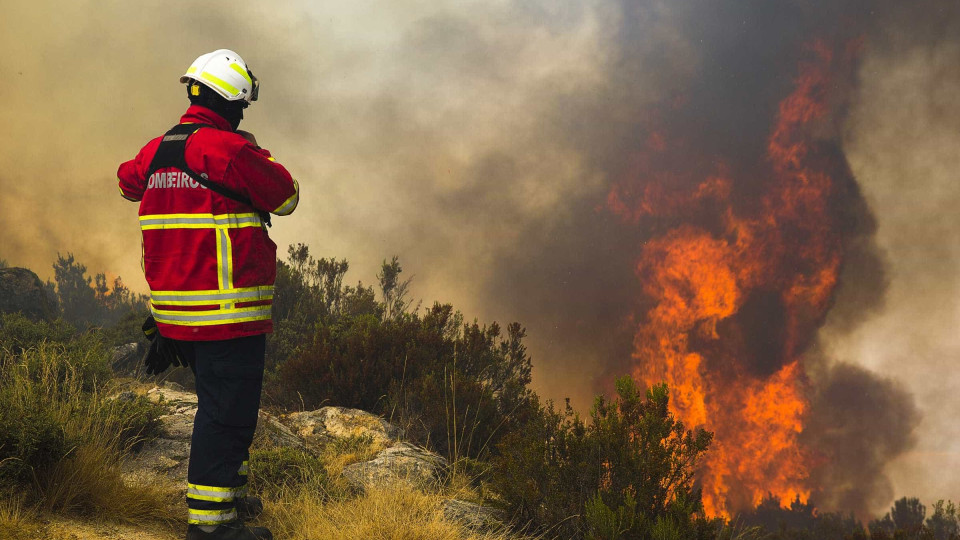 Fogo na serra de Grândola mobiliza mais de 100 bombeiros