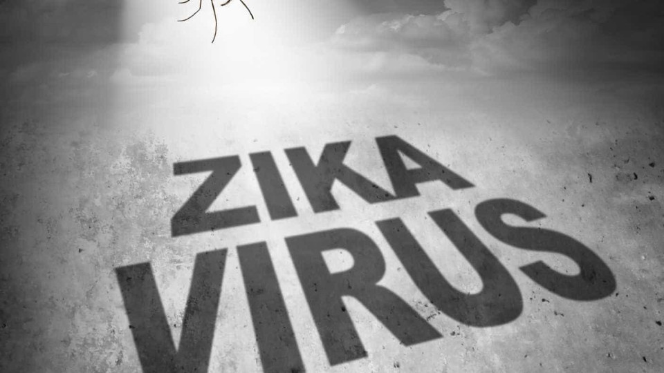 ONG alerta para risco de pôr fim à emergência do zika no Brasil