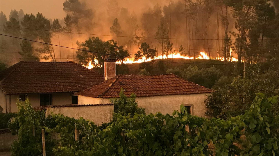 Sindicato dos Jornalistas apela para cobertura sóbria dos incêndios