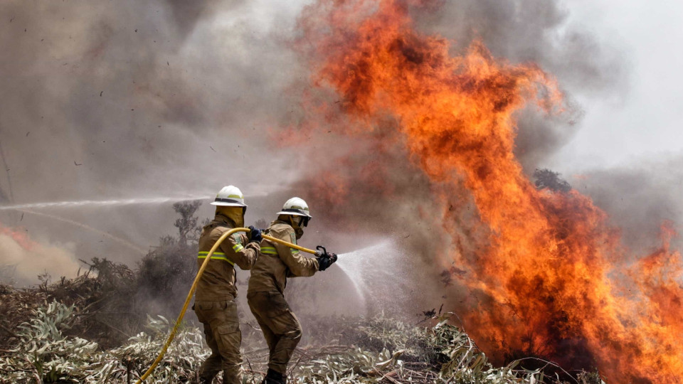 Exército mobliza quase 600 militares e 116 viaturas no combate aos fogos