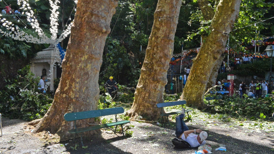 Bloco manifesta pesar por tragédia na Madeira e pede apuramento de causas