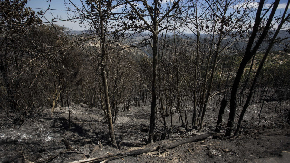 Habitantes de Mação retirados das aldeias começam a regressar a casa