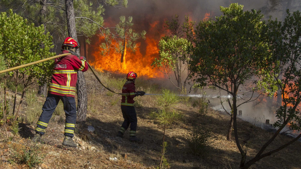 Bombeiros profissionais vs. voluntários: "No terreno somos todos iguais"