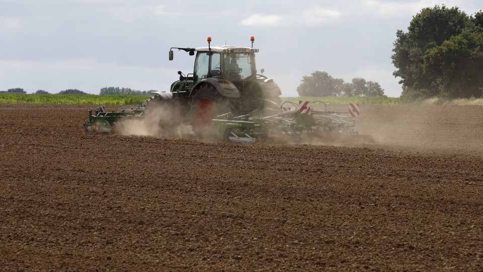 Agricultores de Setúbal pedem medidas excecionais devido a seca