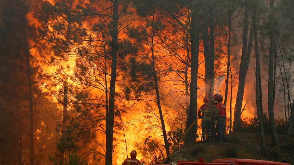 Incêndios: Houve incumprimento da lei junto a povoações, casas e estradas