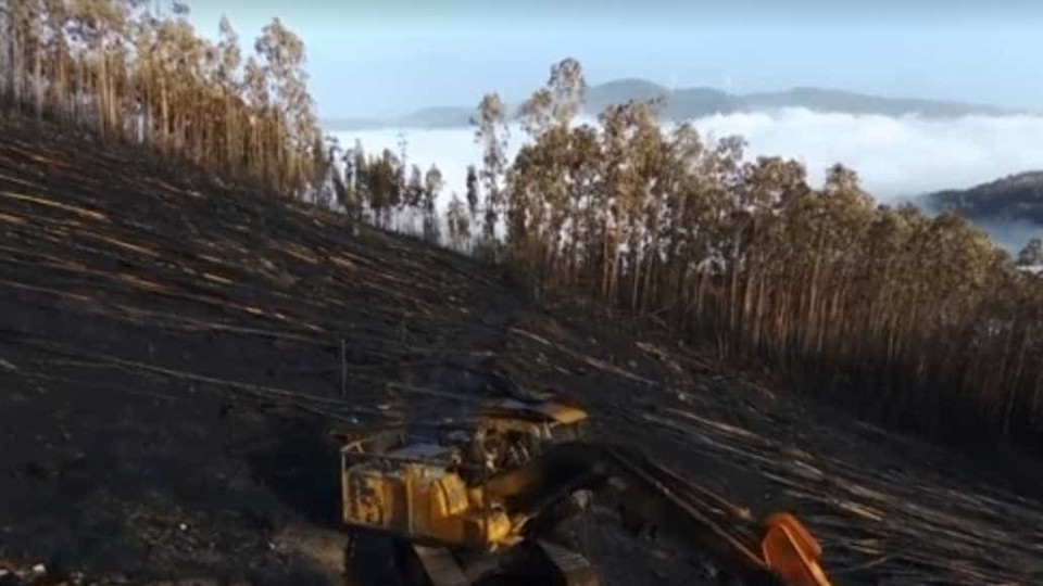 Drone capta realidade negra após fogos em Castelo de Paiva