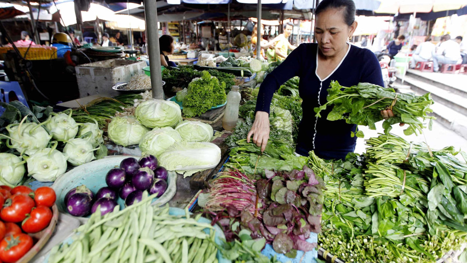 Agricultores dizem que preços vão subir devido à seca