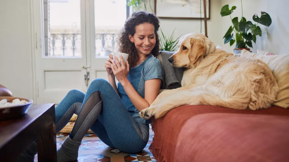 Ter um cão faz bem à saúde