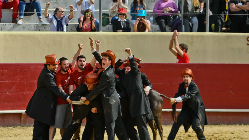 Veteranos decidem que garraiada permanece na Queima das Fitas