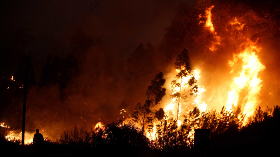 Incêndio lavra em Sintra na zona do convento da Peninha