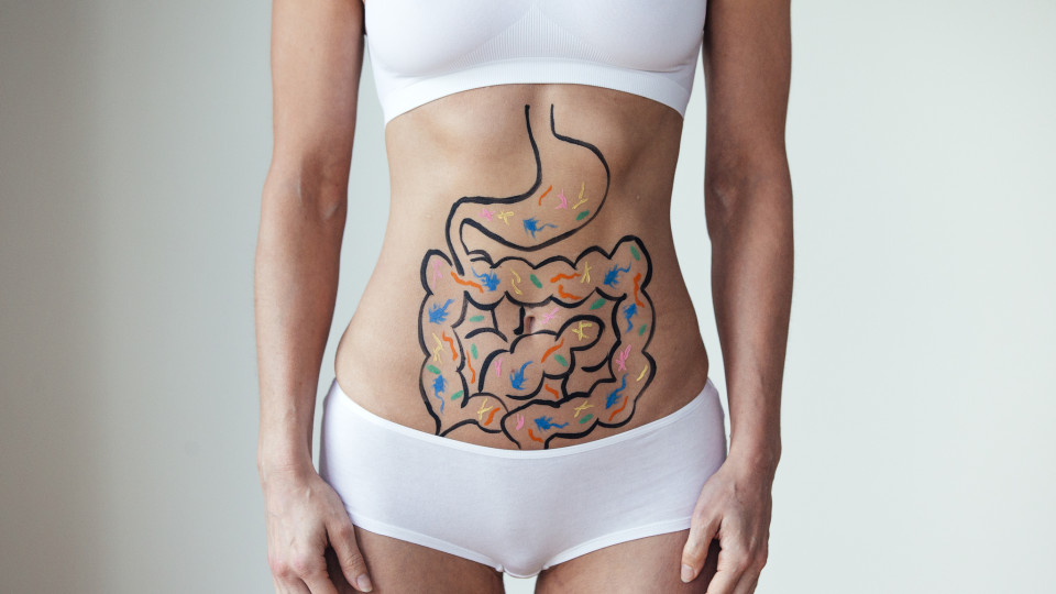 Sistema digestivo por partes. Que problemas surgem no intestino delgado?