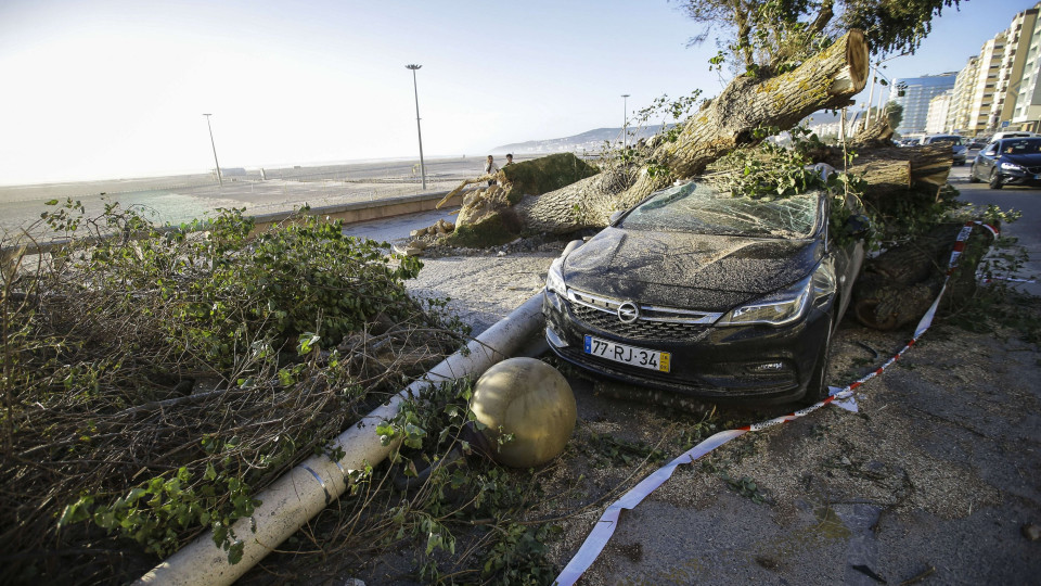 Autarcas lamentam falta de apoios do Governo após tempestade Leslie