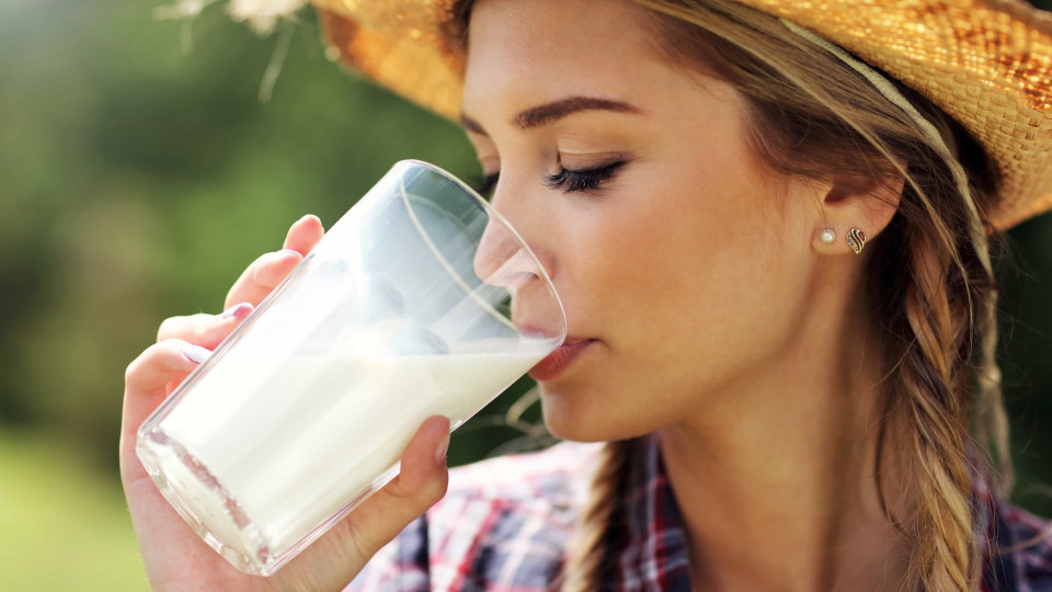 Afinal, qual é o melhor leite vegetal para emagrecer? E para a saúde?