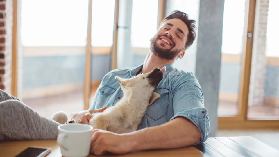 Pesquisa revela que as barbas têm mais germes do que o pêlo dos cães