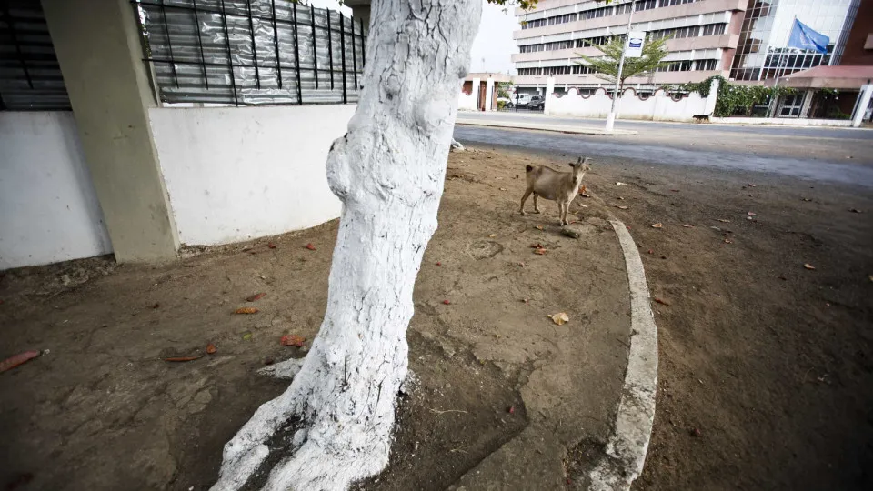 Governo de São Tomé e Príncipe avança com obras nas ruas da capital