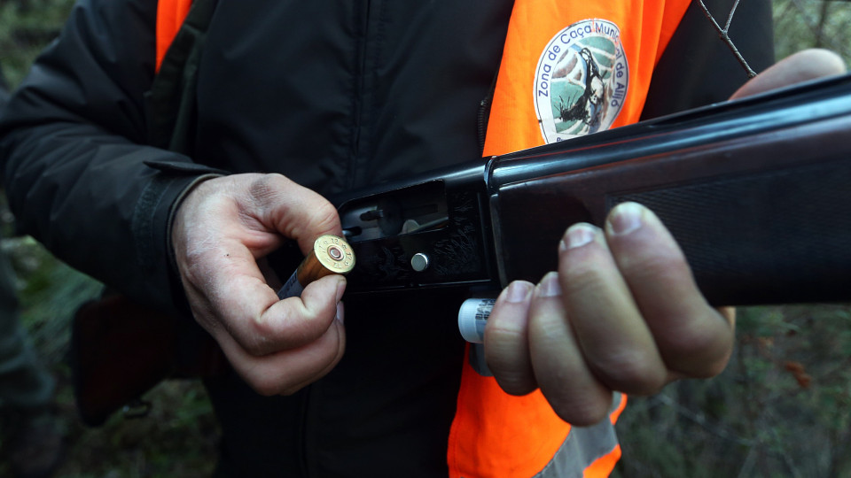 Há cerca de 1,5 milhões de armas legais em Portugal