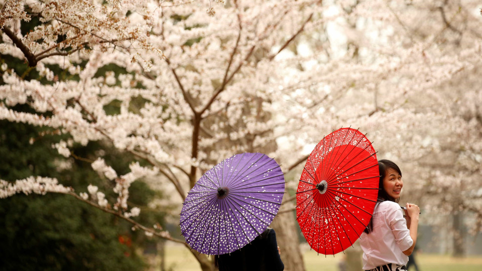 Japão. Números de telefone estão a acabar