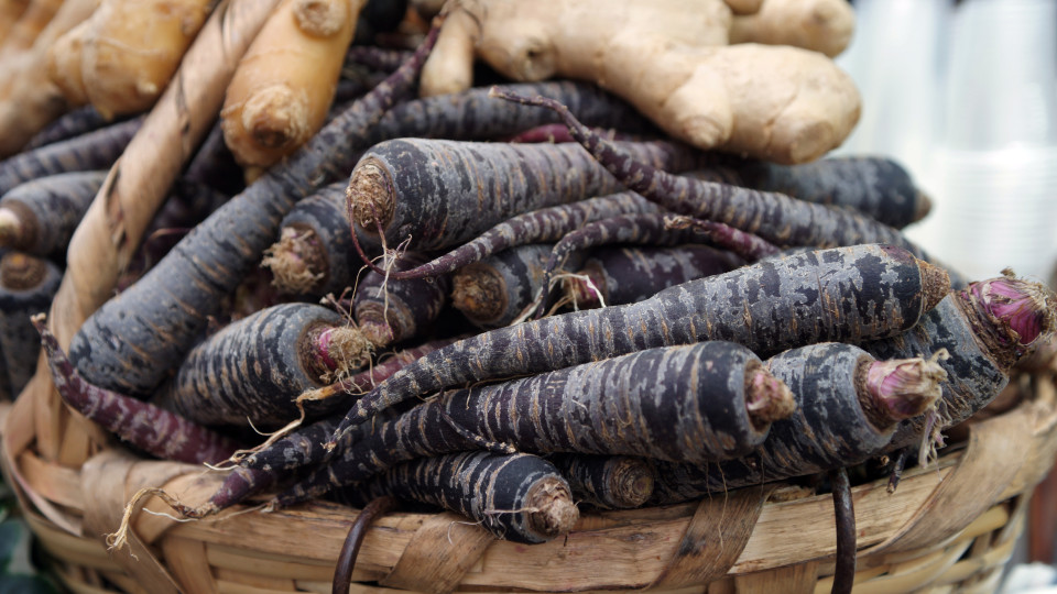 Já ouviu falar da cenoura preta? Cinco benefícios incríveis do vegetal