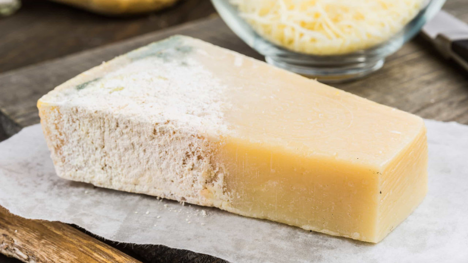 O leitor perguntou: Afinal, comer queijo ou pão com bolor faz mal?