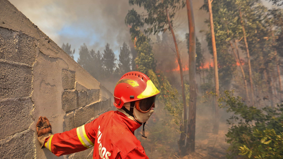 Incêndio em parque de campismo na Costa da Caparica provocou um morto