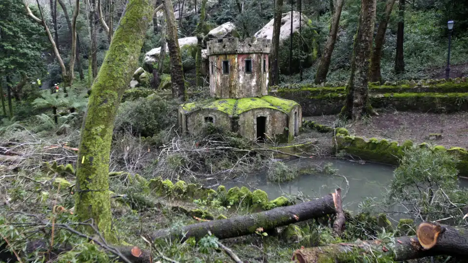 Perímetro florestal da Serra de Sintra encerrado por risco de incêndio