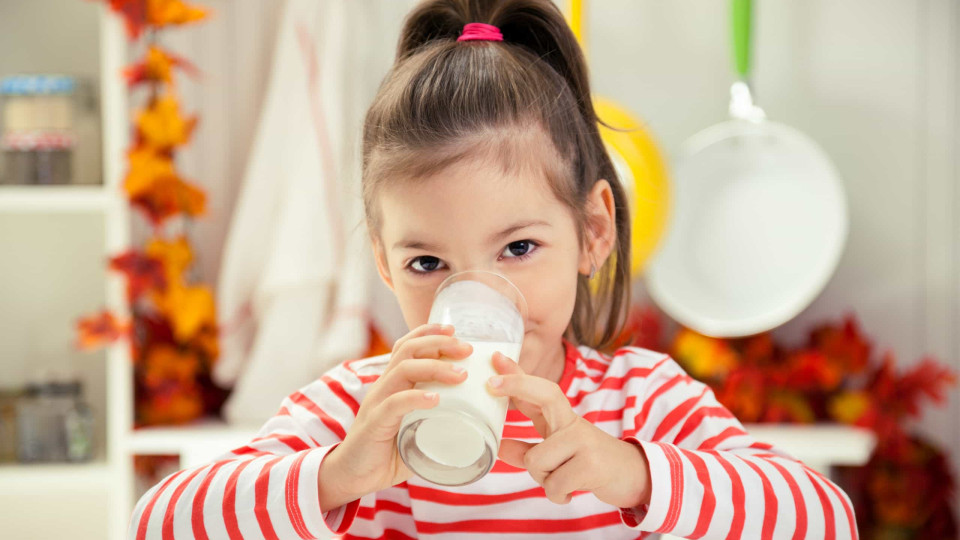 Cinco super benefícios de beber leite e quanto deve ingerir por dia