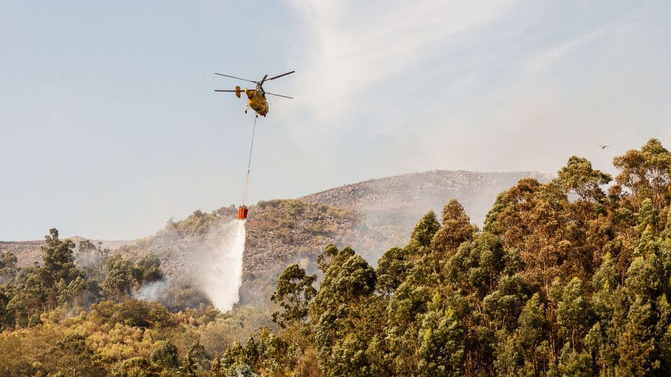 Fogo em Castelo Branco reativa. Nove meios aéreos combatem as chamas