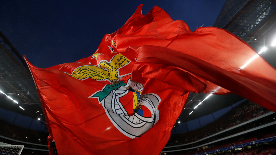 e-Toupeira: Benfica reafirma "a licitude dos seus atos e comportamentos"