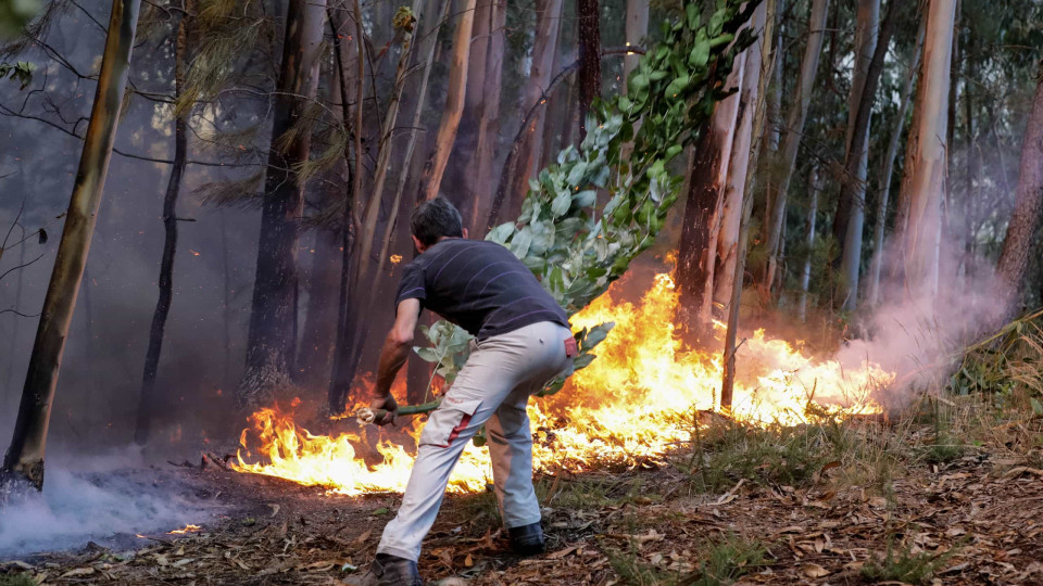 Fogo em Valpaços que obrigou a evacuar aldeia alastrou a Chaves