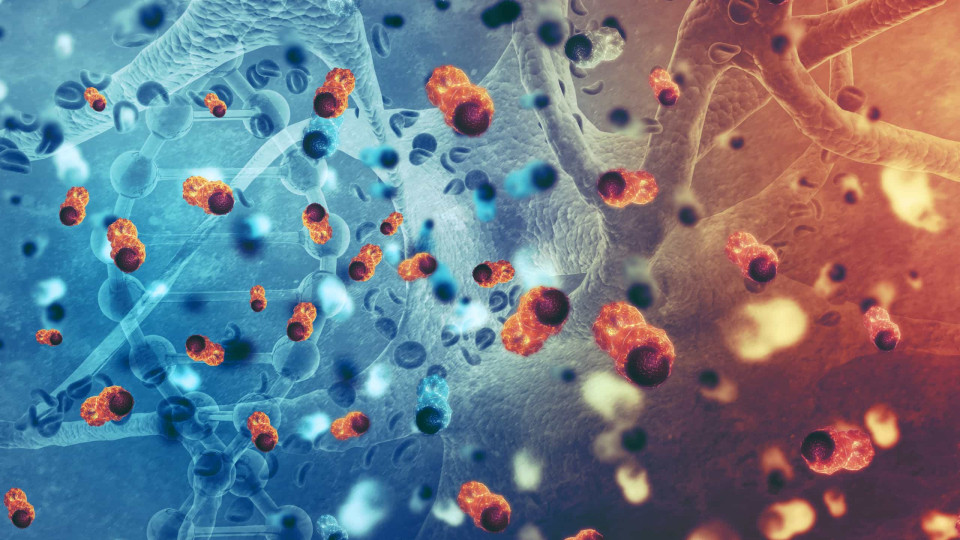 A combinação de drogas que pode 'matar à fome' as células do cancro