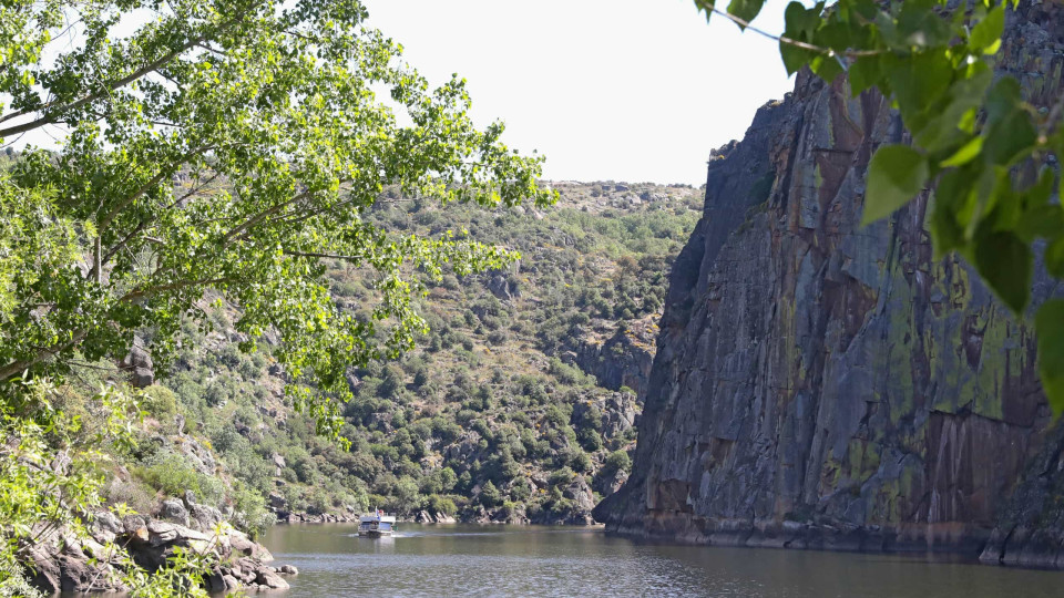 Minas, despovoamento e alterações climáticas são ameaças ao Douro