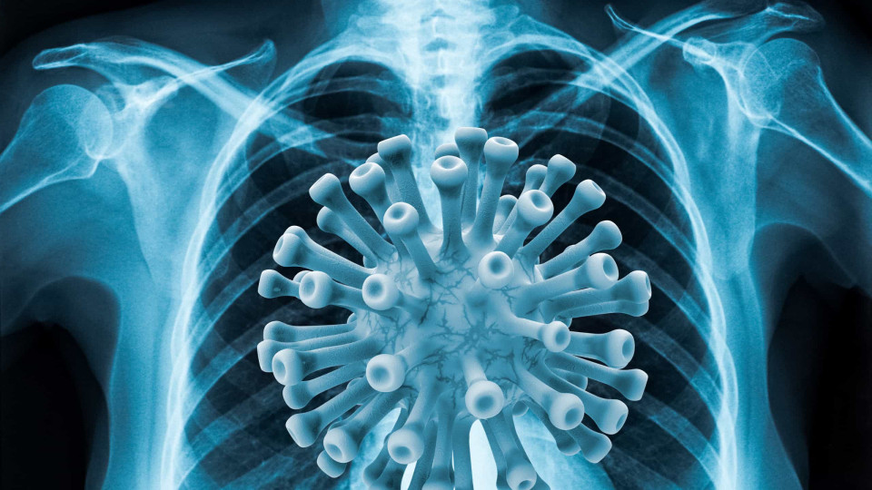 Proteína no pulmão pode ser chave para tratar e evitar morte por Covid-19