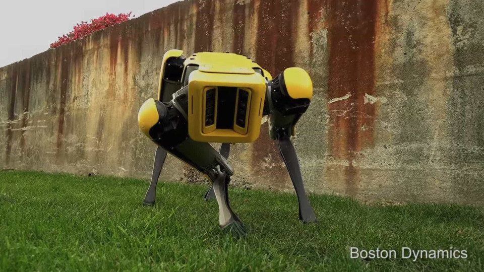 Robot da Boston Dynamics custa mais de 66 mil euros