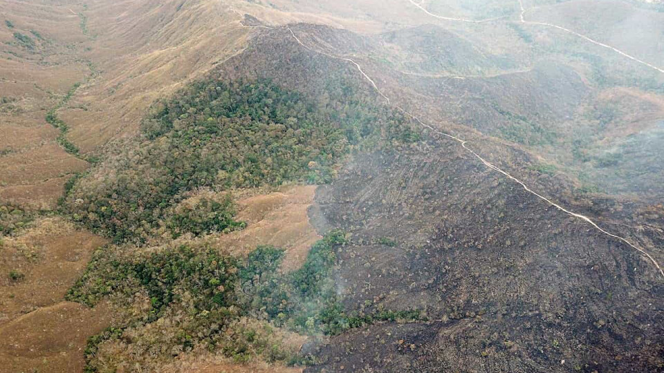 Amazónia perdeu área de floresta equivalente ao Chile em 33 anos