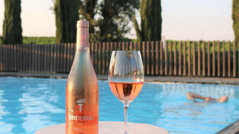 Este novo vinho rosé é perfeito para as tardes quentes do verão