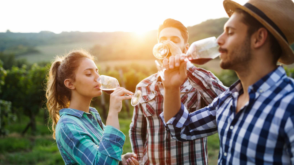 Existem oito tipos de vinhos. Sabe quais são?