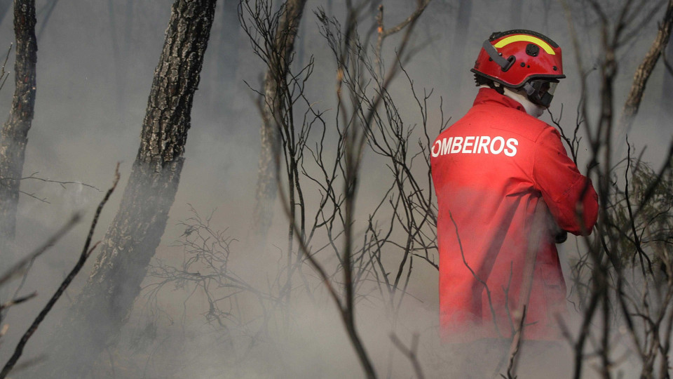 Incêndios: 14 concelhos de quatro distritos em risco máximo