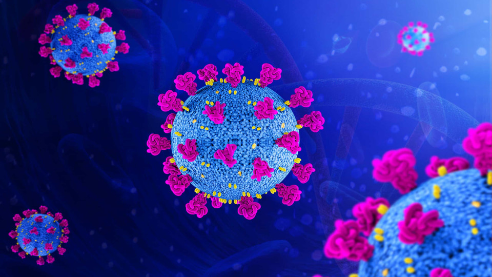 Cientistas detetam 23 novas proteínas associadas à infeção por SARS-CoV-2