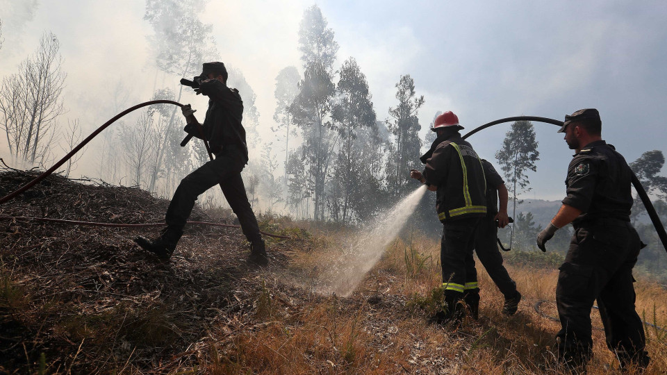 Incêndios: Três concelhos do distrito da Guarda em risco máximo