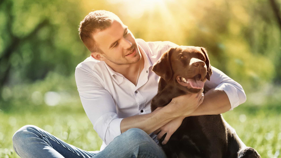 Por que razão os cães são tão protetores dos donos?