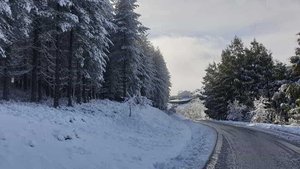 Mau tempo: Estradas cortadas em Castanheira de Pera devido à neve