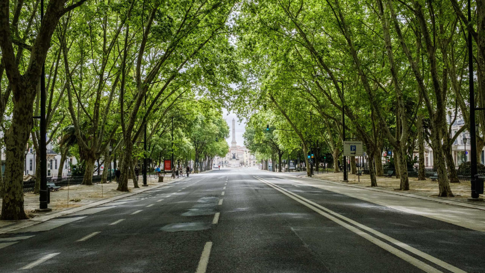 Fecho da Av. da Liberdade aos domingos? Moedas vai pedir consulta pública