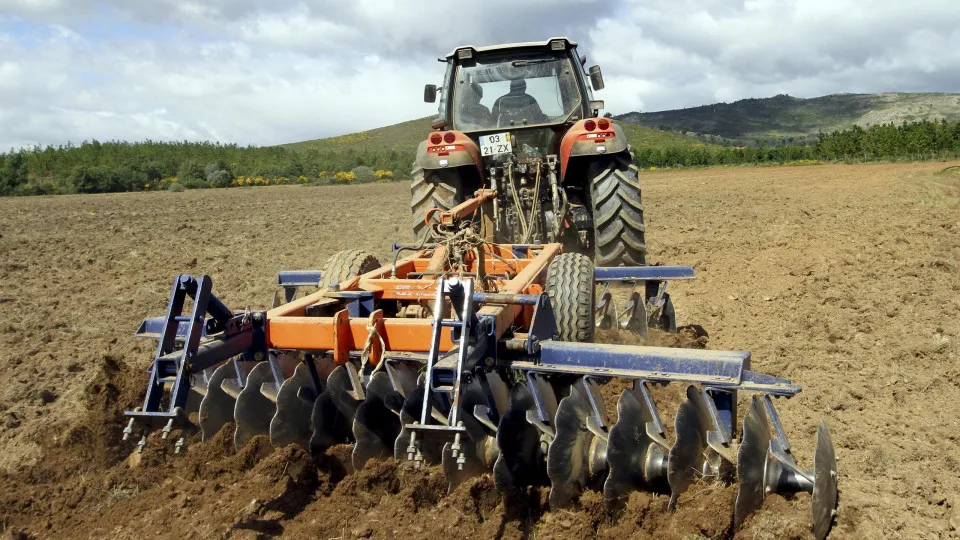 Preço da produção agrícola sobe na UE (e recua em Portugal)