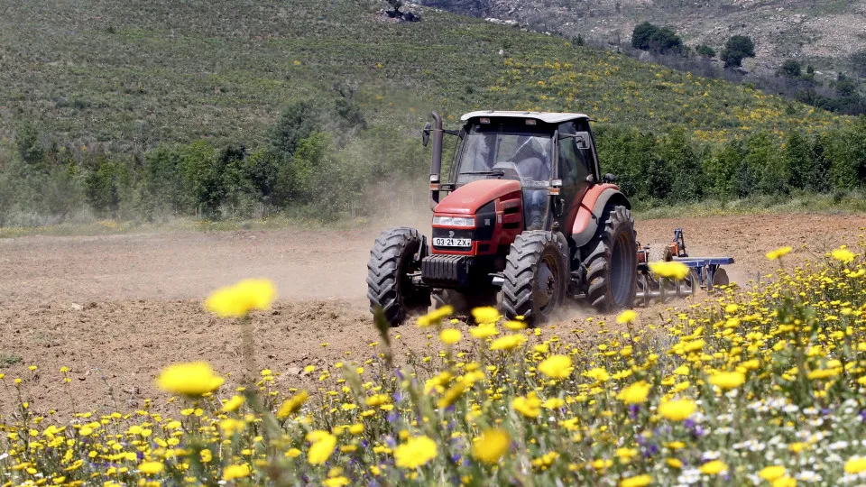 Candidaturas às ajudas agrícolas terminam hoje e há multas para pedidos tardios